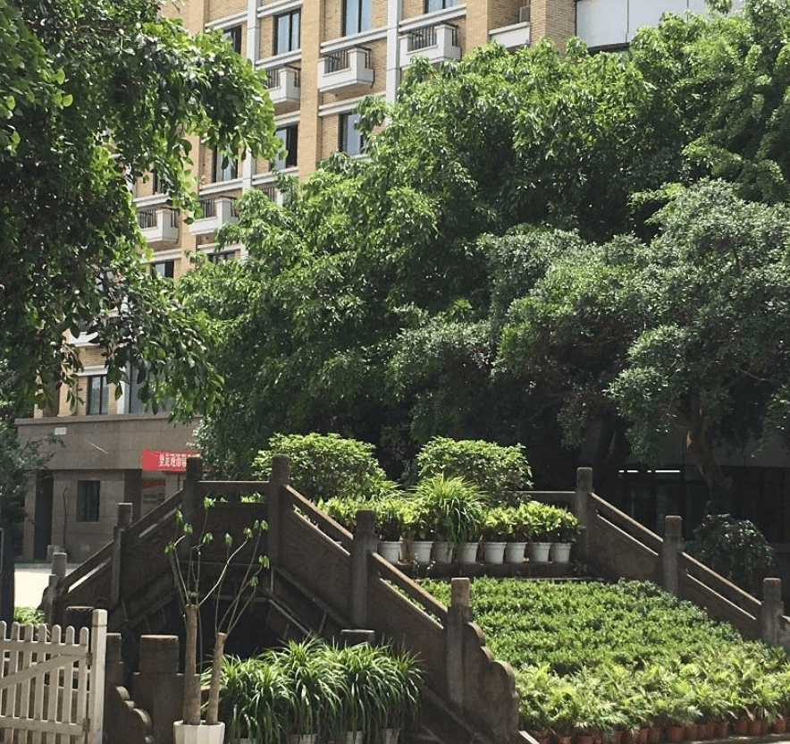 華陽中學(xué)2019年直升計(jì)劃