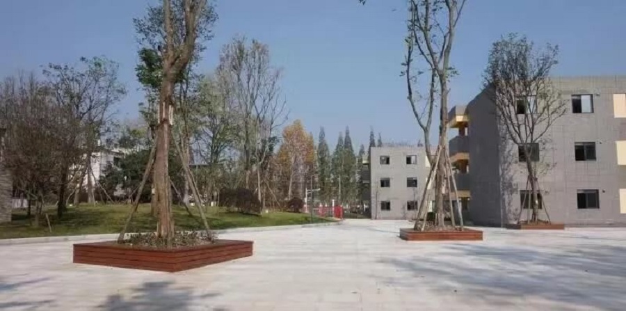 成都綿實外國語學(xué)校2019年招生公告公布了嗎？