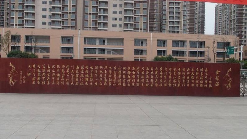 成都經(jīng)濟技術(shù)開發(fā)區(qū)實驗中學地址在哪？