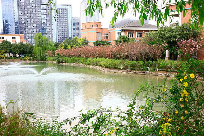 成都美視國(guó)際學(xué)校網(wǎng)址是什么？