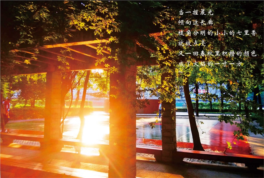成都七中高新校區(qū)2019年中考分?jǐn)?shù)線是多少？