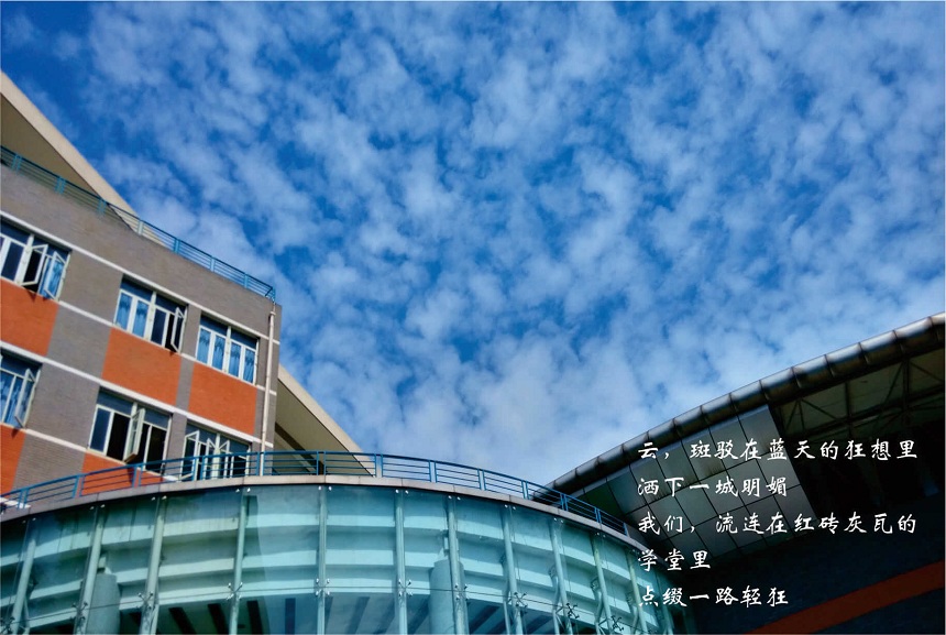 成都七中高新校區(qū)教學質量好不好？