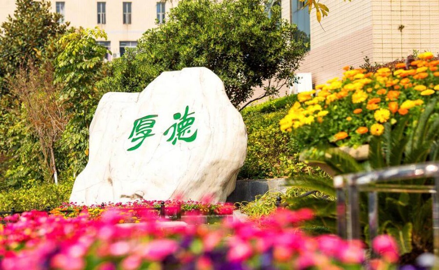 綿陽外國語學(xué)校學(xué)費(fèi)大概是多少？