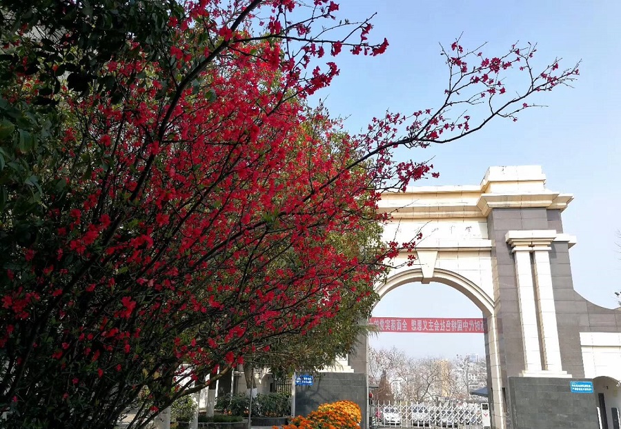 綿陽南山中學(xué)學(xué)費貴嗎？