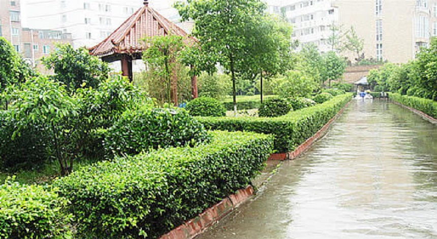 華興中學(xué)環(huán)境好不好？