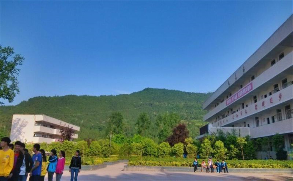 金山中學(xué)2020年學(xué)校招生計(jì)劃在哪兒看？
