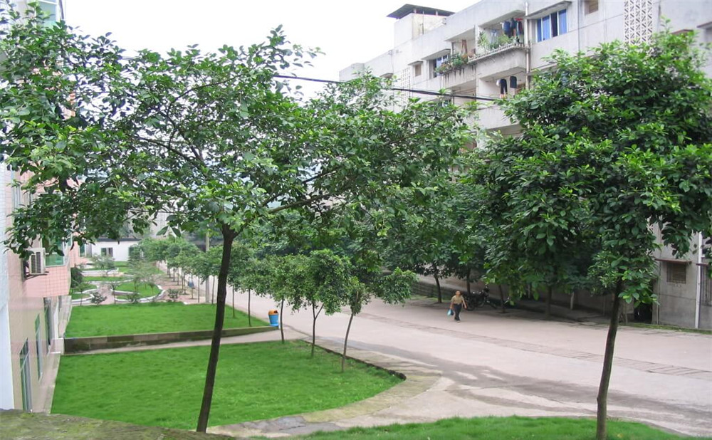 瀘州市納溪區(qū)護(hù)國中學(xué)地址在哪里？