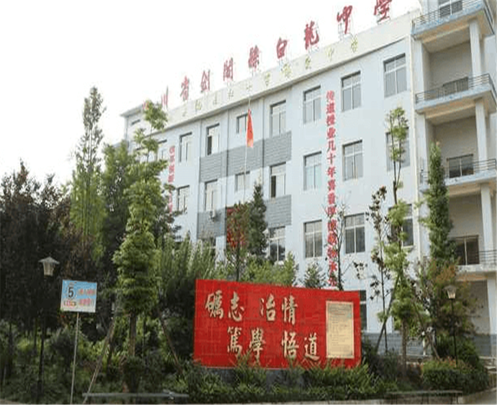 白龍中學2020年招生計劃公布了嗎？