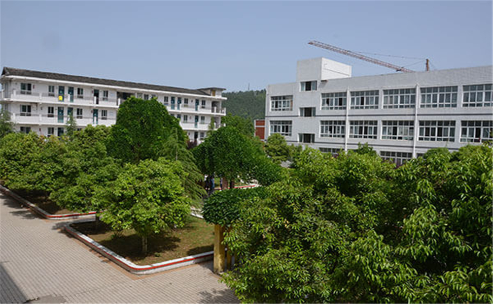 曾口中學(xué)2020年招生計劃公布了嗎？