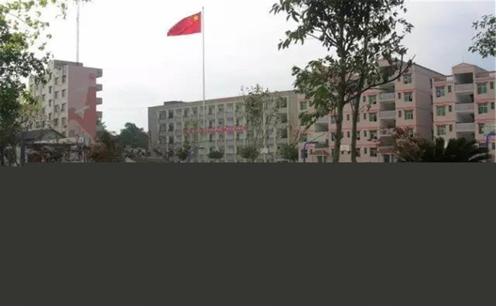 內(nèi)江市第十一中學(xué)學(xué)校環(huán)境怎么樣？