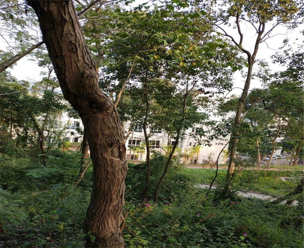 蒲家中學(xué)的詳細(xì)地址在什么地方？