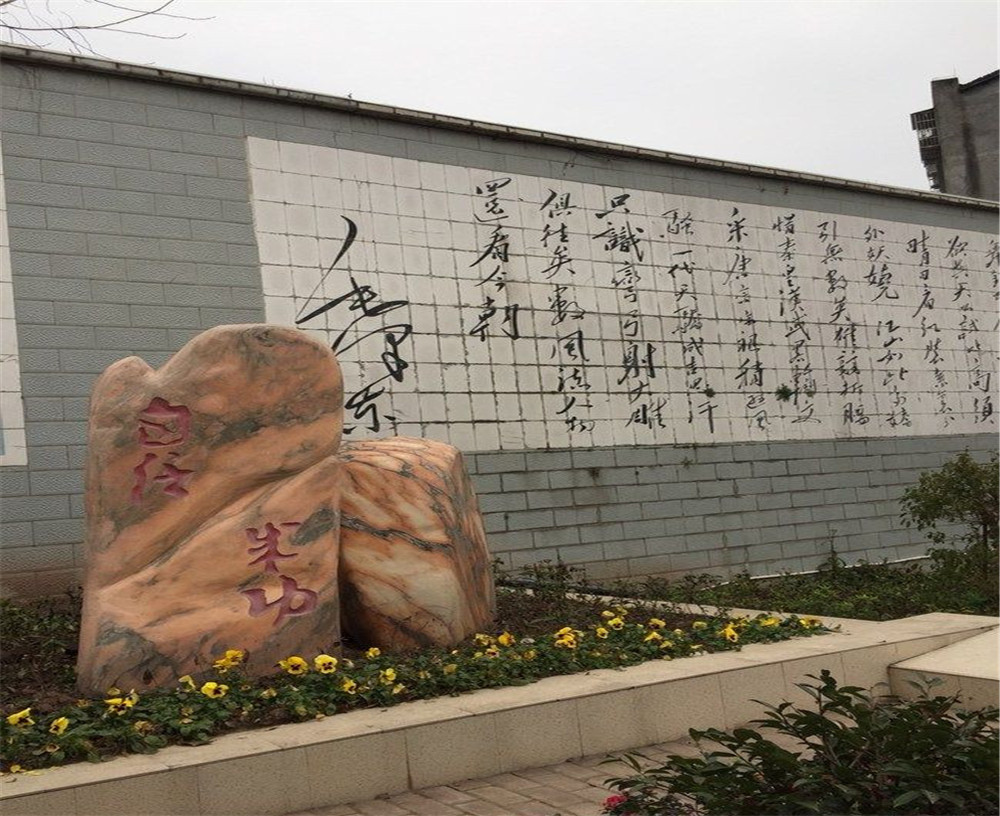 蒲家中學(xué)2020年招生計(jì)劃在哪兒看？