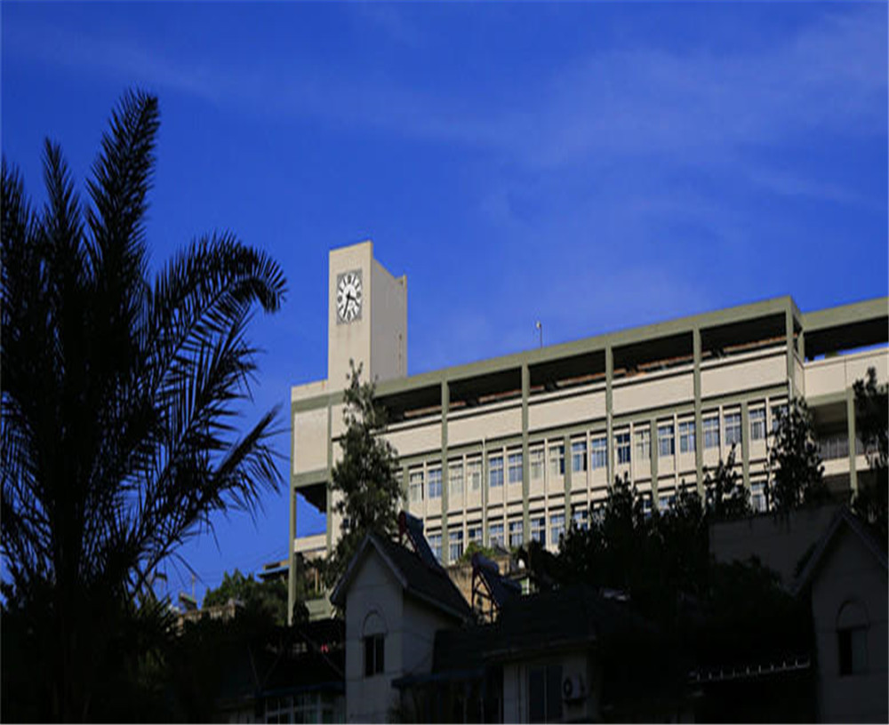 攀枝花市第十五中學(xué)學(xué)校詳細(xì)地址在什么地方？