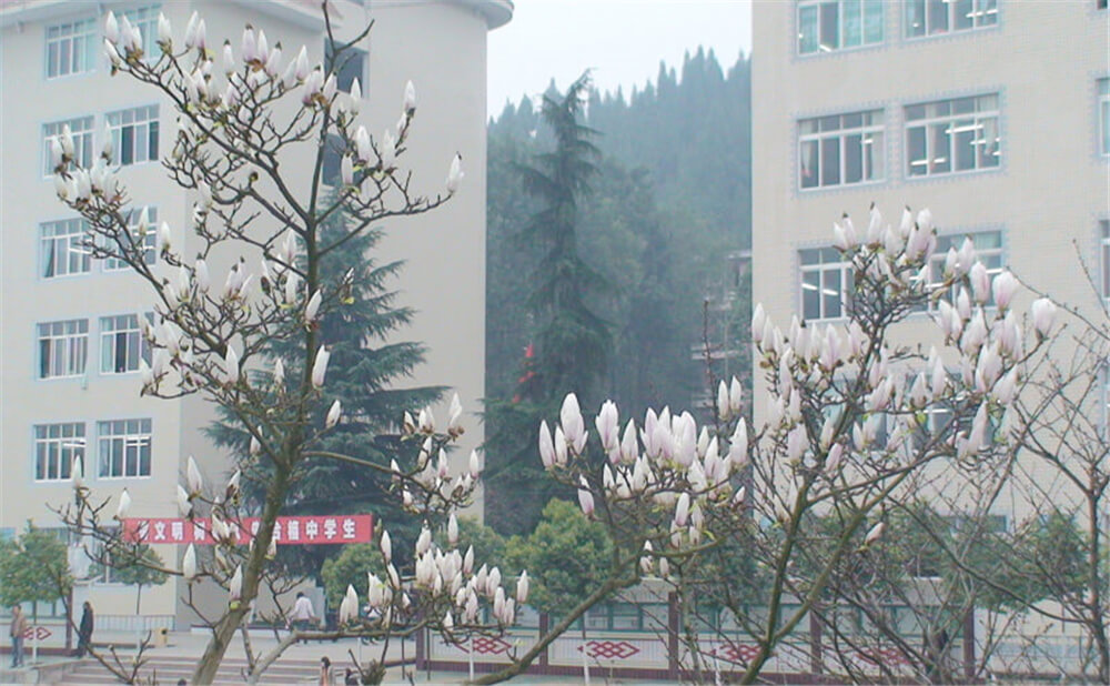 建興中學(xué)學(xué)校詳細(xì)地址在什么地方？