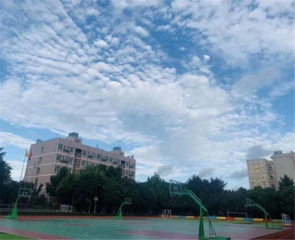 成都石室佳興外國語學校的高中怎么樣