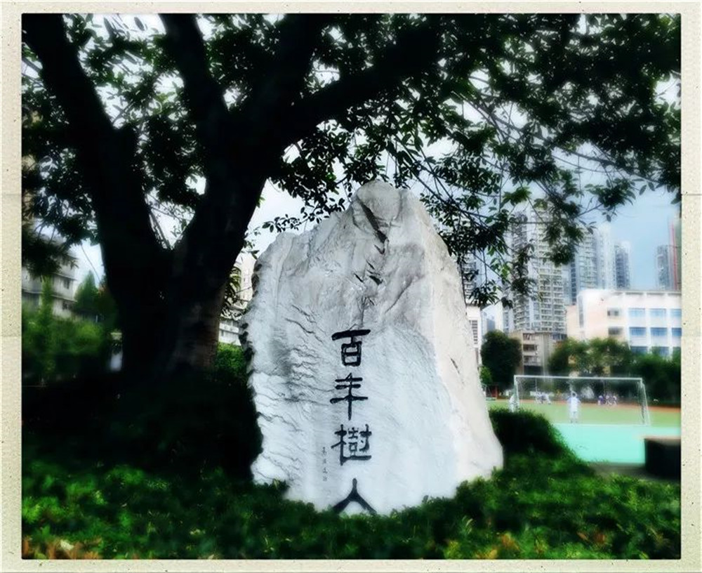 四川大學(xué)附屬中學(xué)2020年的錄取分數(shù)線是多少？