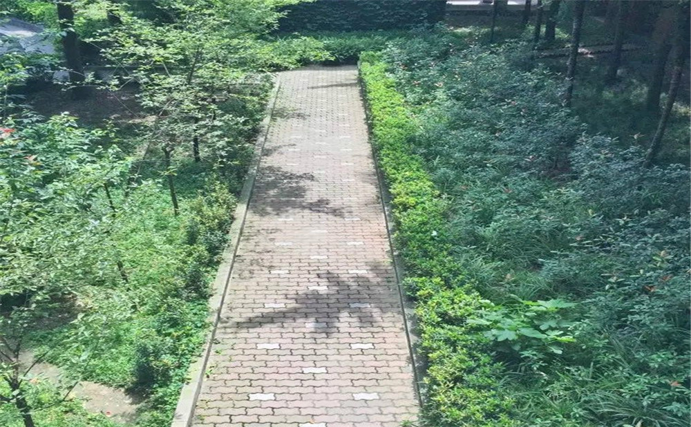 成都華西中學2020年的招生計劃公布了嗎？