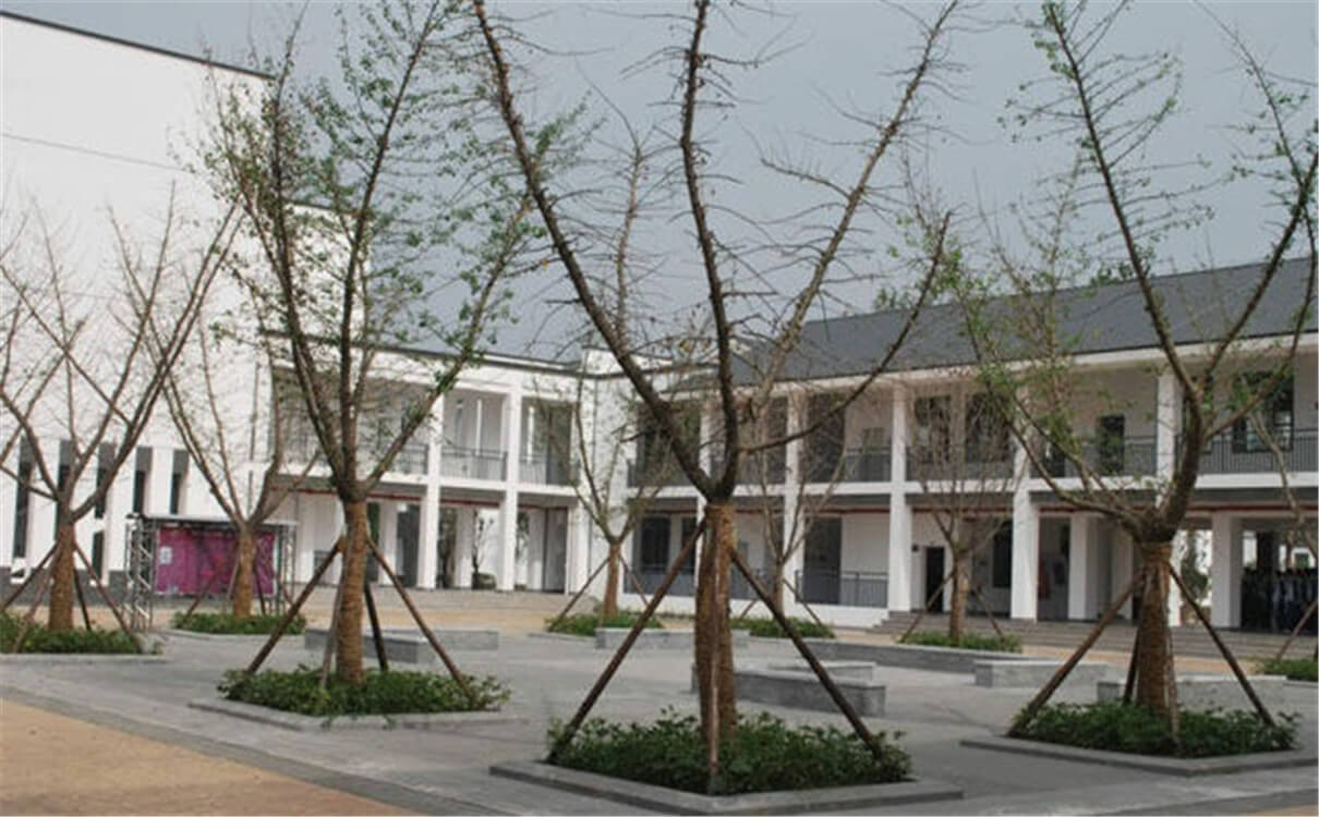 石室白馬中學(xué)的高中怎么樣？