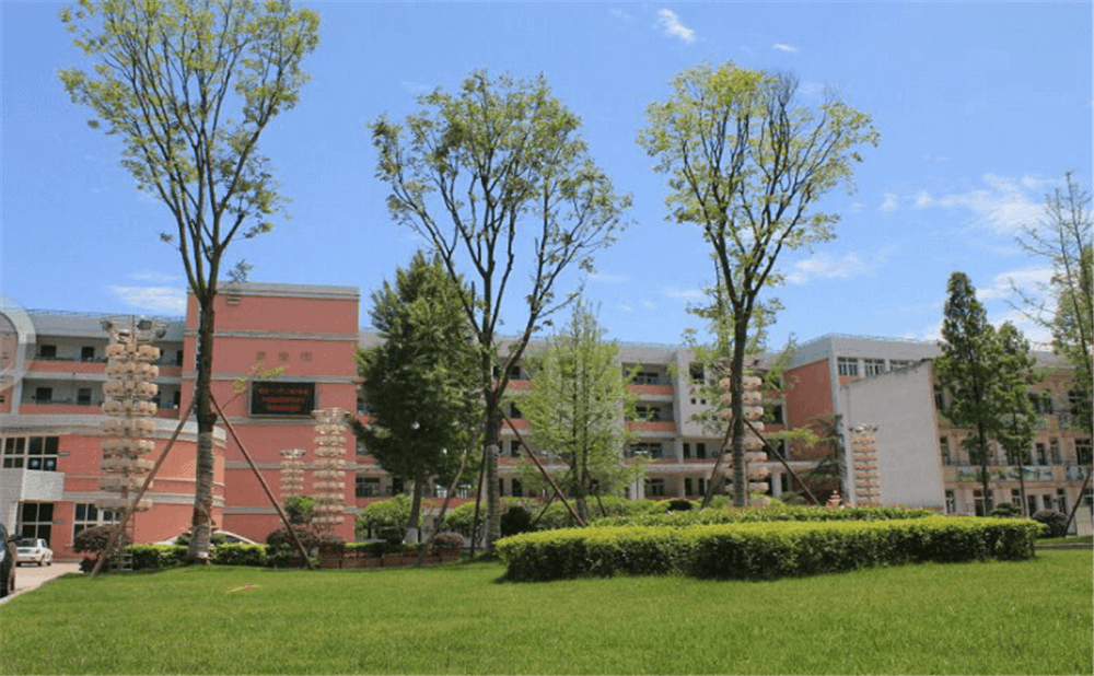 成都市籍田中學的老師怎么樣？