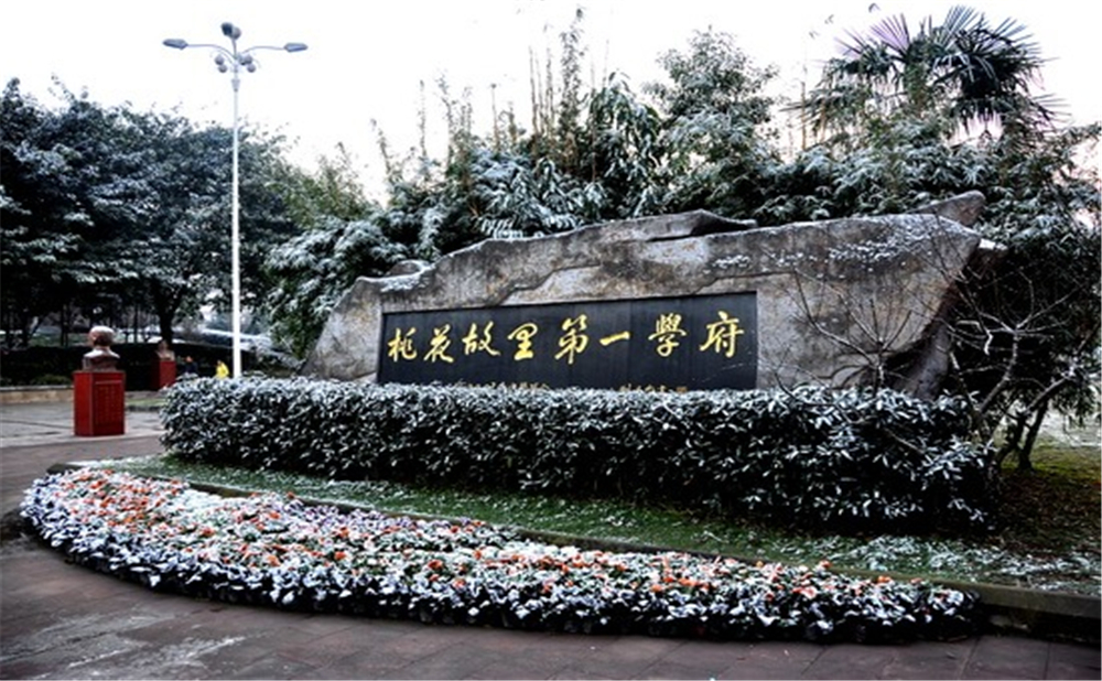 成都市龍泉中學(xué)的高考升學(xué)率是多少？