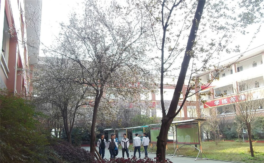 崇慶中學(xué)的去年錄取分?jǐn)?shù)線是多少分？