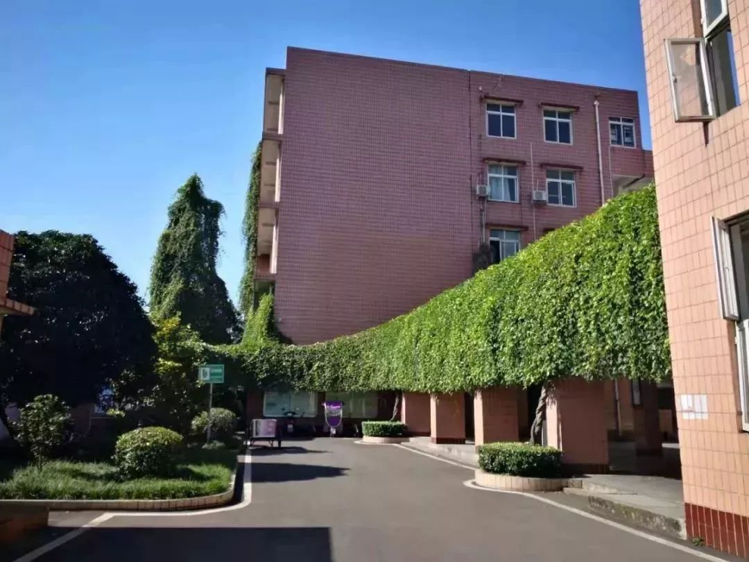 成都三十六中的本科升學(xué)率在哪兒看？