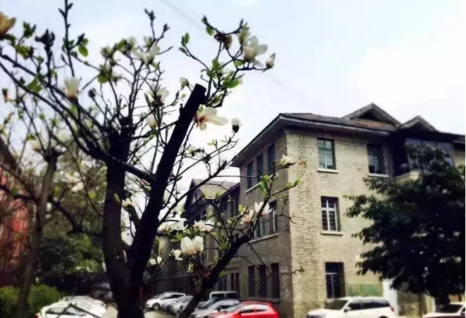 通錦中學(xué)的宿舍怎么樣？
