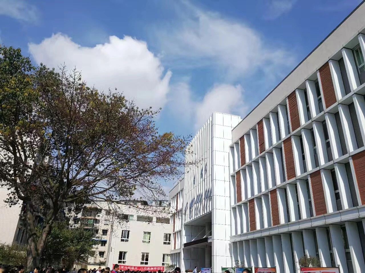 成都二十中高中一年的學(xué)費(fèi)是多少？