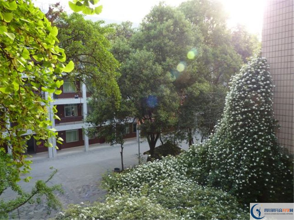 成都市石室聯(lián)中蜀華分校初升高的政策是什么？