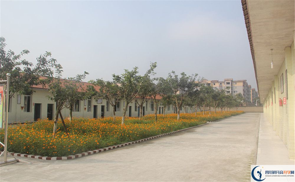 2020年強(qiáng)項(xiàng)實(shí)驗(yàn)中學(xué)自主招生考試報(bào)名時(shí)間是多久？