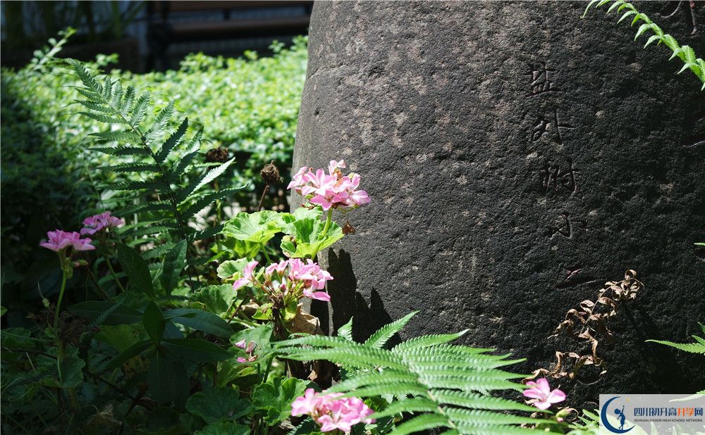 石室聯(lián)合中學(xué)蜀華分校住宿費(fèi)用是多少？