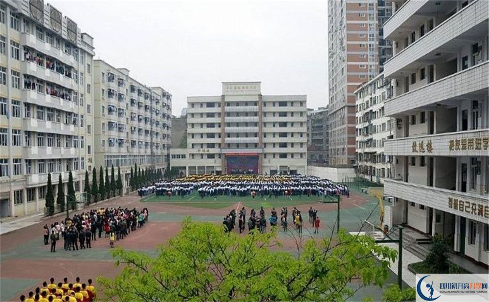 陽安中學的高一分班嗎？