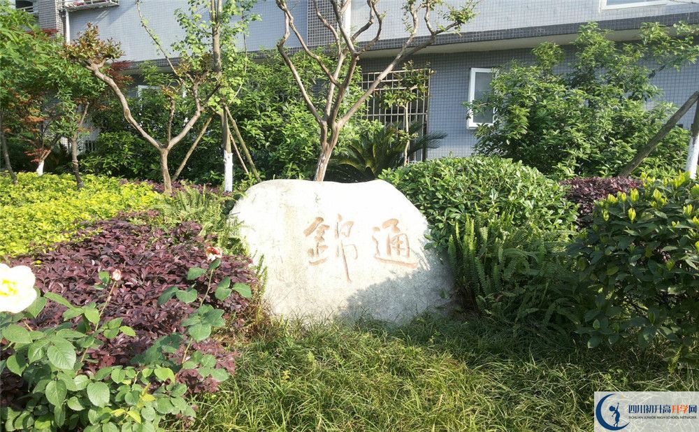 通錦中學高一多久放一次假？