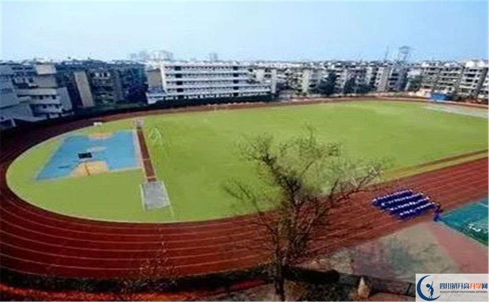 成都實(shí)外新都五龍山學(xué)校招生考試科目有哪些？