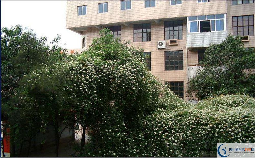 石室聯(lián)合中學(xué)蜀華分校平行班與實驗班差多少？