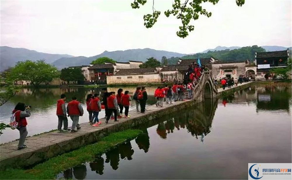 2020成都市泡桐樹中學(xué)國際部入學(xué)多少分？