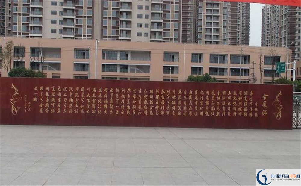 成都經(jīng)濟(jì)技術(shù)開(kāi)發(fā)區(qū)實(shí)驗(yàn)中學(xué)2020年全國(guó)排名是多少？