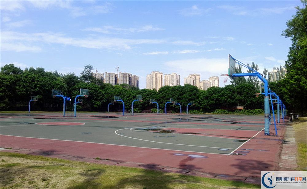 成都實驗外國語學校（西區(qū)）補課嗎？