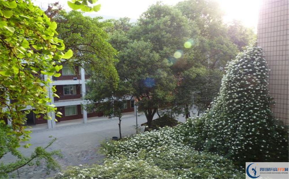 2020石室聯(lián)合中學(xué)蜀華分校二診數(shù)學(xué)試題答案在哪看？