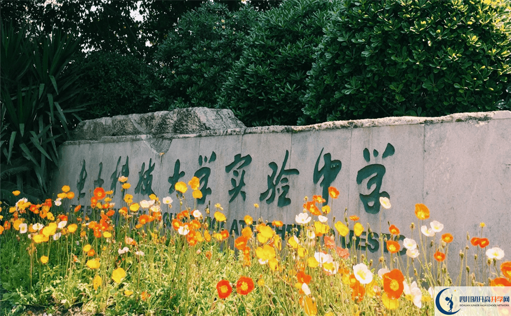 電子科技大學(xué)實驗中學(xué)補(bǔ)課多少錢？