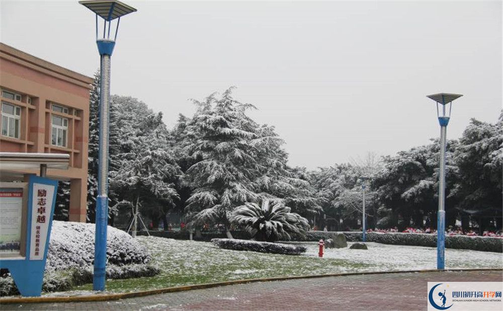 樹德博瑞實驗學(xué)校校園風(fēng)采