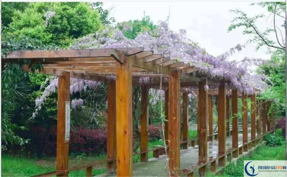 廣安花橋中學高三診斷考試時間怎么安排？
