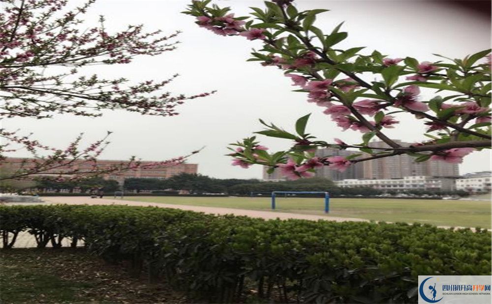 2020年樹德博瑞實驗學校學費是多少？