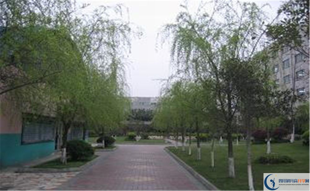 成都石室佳興外國(guó)語(yǔ)學(xué)校在哪個(gè)區(qū)？