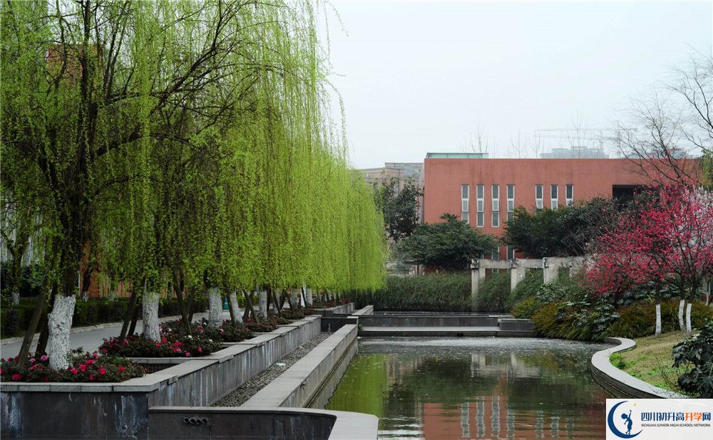 新都香城中學(xué)的哪個(gè)班2020年比較好？