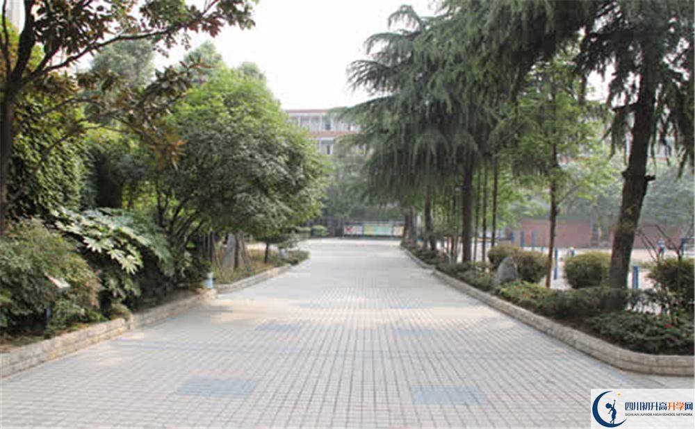成都列五中學(xué)本部屬于哪個區(qū)？