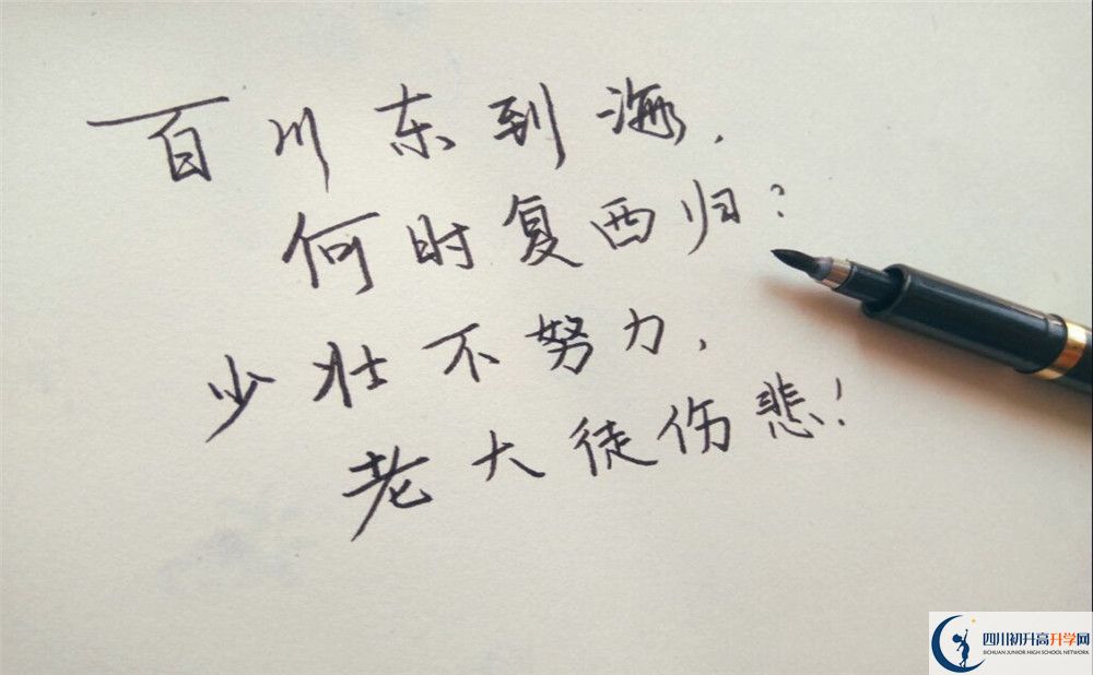 攀枝花市體育中學招辦電話是多少？